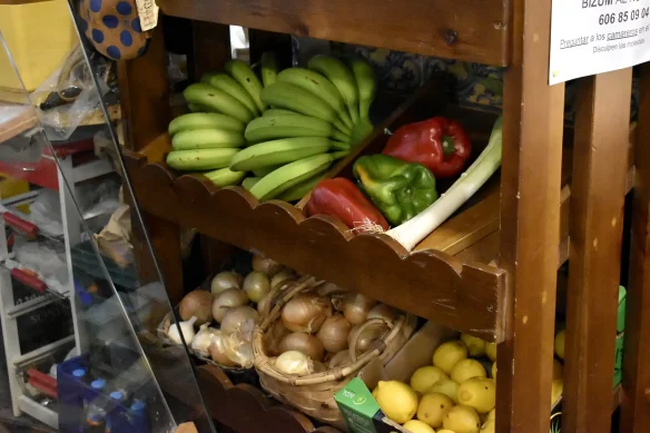 {{brizy_dc_image_alt imageSrc=